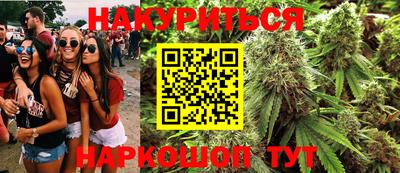 шишки Новозыбков