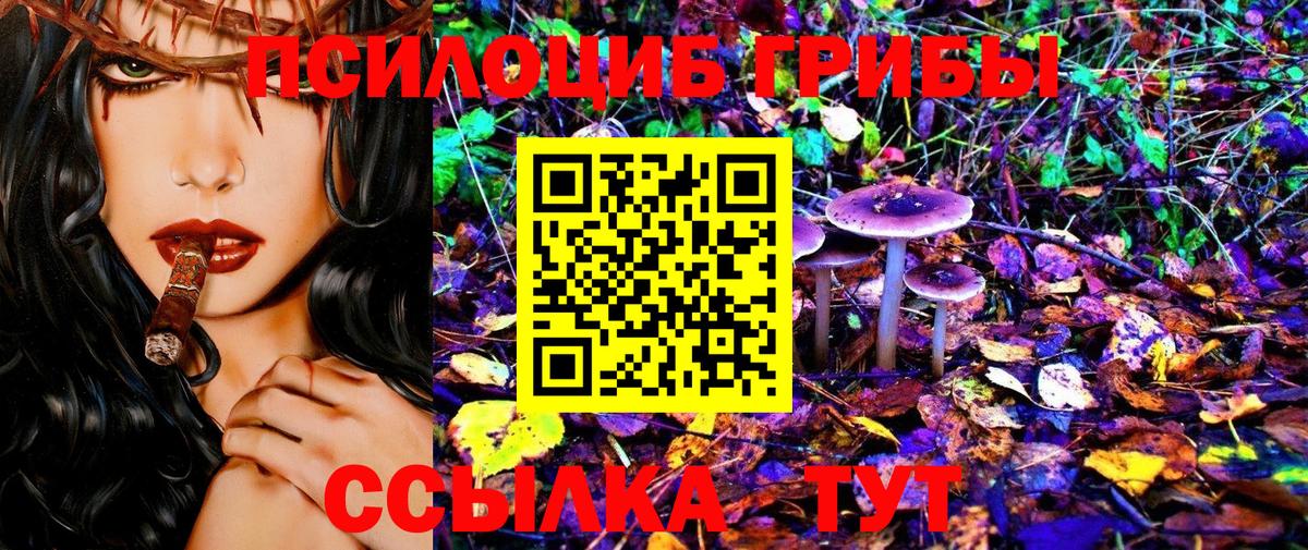 Псилоцибиновые грибы Psilocybe  Псилоцибиновые грибы Psilocybe  Шадринск  наркотики  Вход с VPN 